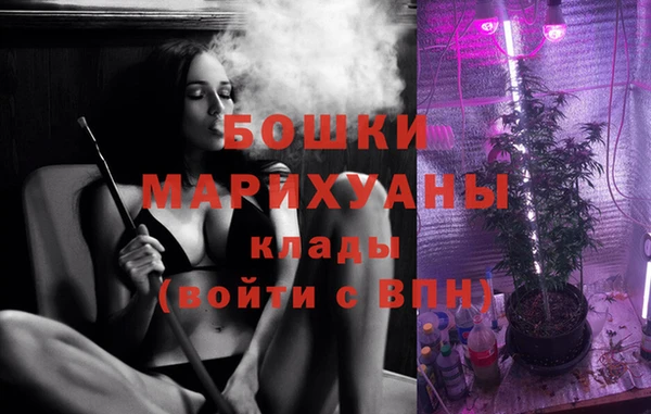 дмт Алзамай