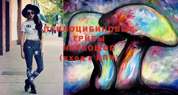 дмт Алзамай