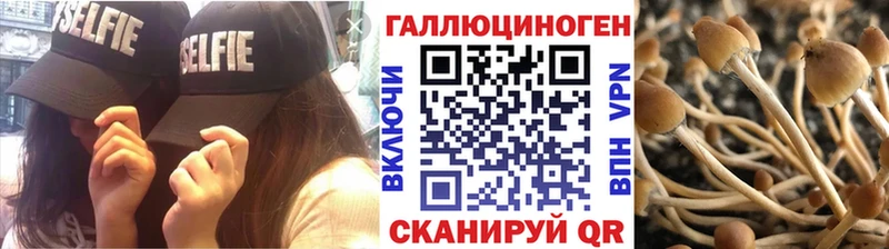 Галлюциногенные грибы Cubensis  Малаховка 